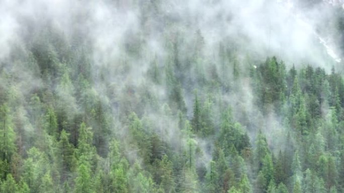 空中无人机拍摄了多洛米蒂与福雷斯，白云岩山脉，白云岩阿尔卑斯山或白云岩阿尔卑斯山的雾状松树树林，是位