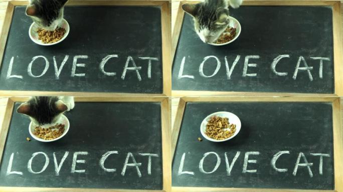 猫在爱猫字板上吃食物