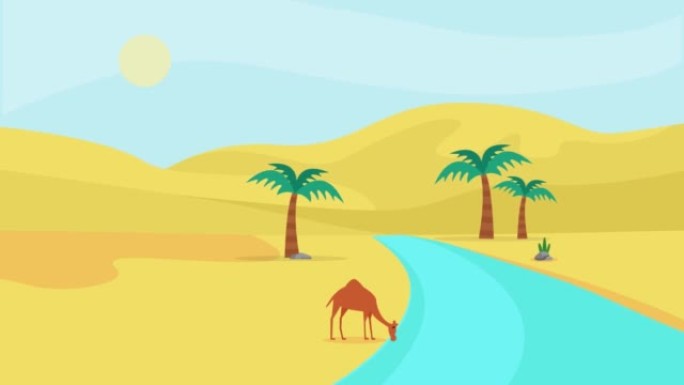 干渴的骆驼在沙漠中喝水