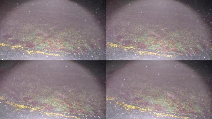 斜向照明拍摄的单纯性鳞状上皮40x显微图像
