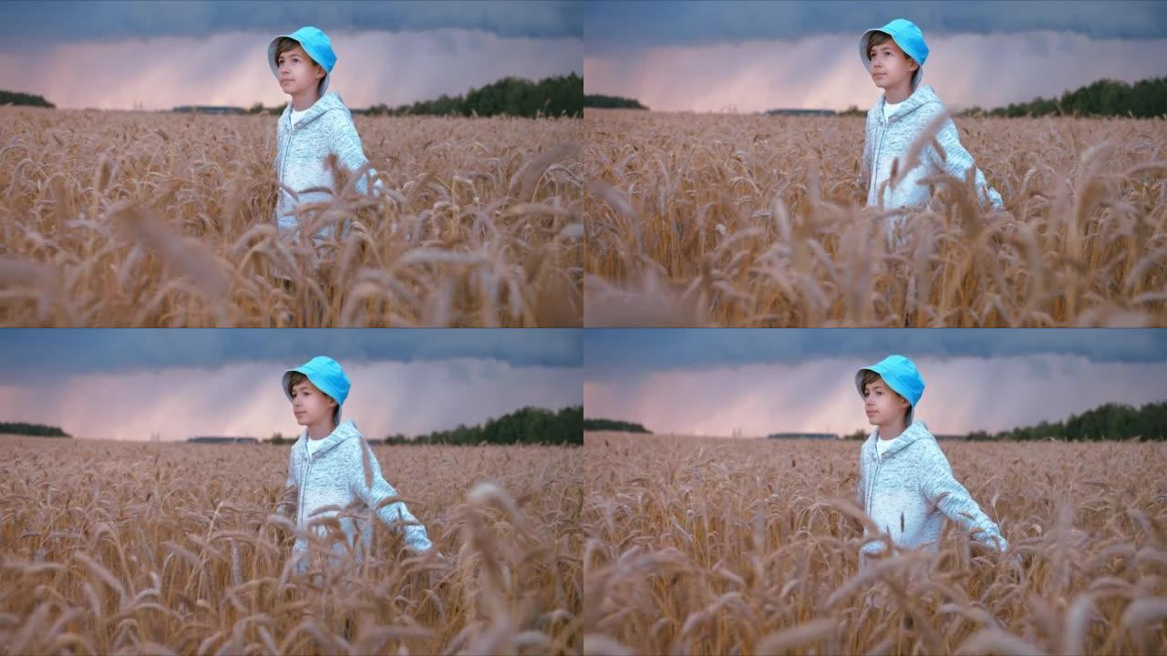 太阳来代替雨，有趣的男孩在雨云的背景下走在田野里，阴雨的天气，天气的变化