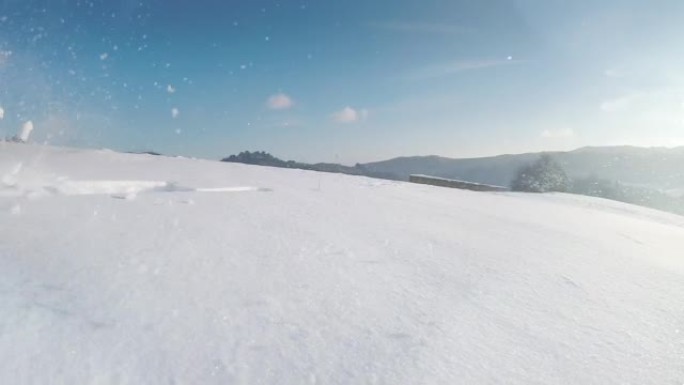 慢动作小猎犬跑过相机在雪地里猛烈跳跃留下痕迹
