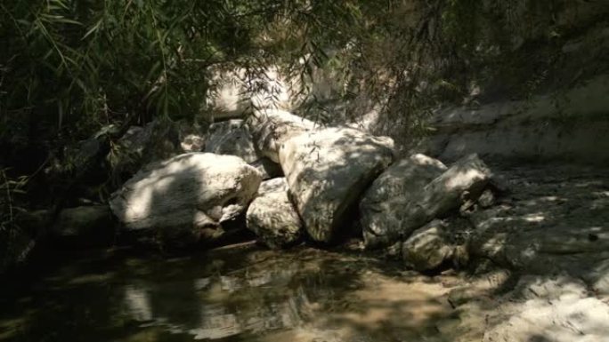 Beautiful view of woods in Lost Creek in Allen TX 