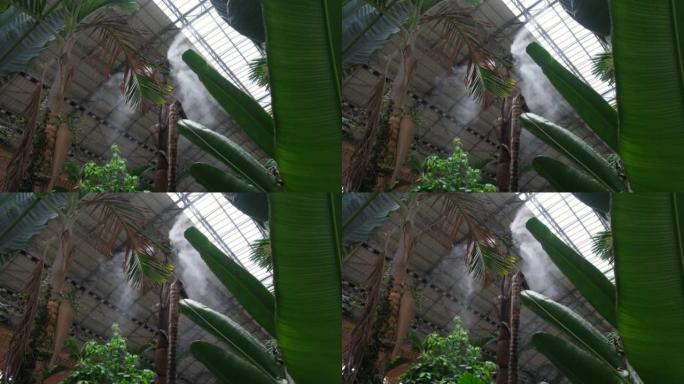 灌溉系统关闭。在植物园用蒸汽加湿空气，为植物创造气候。