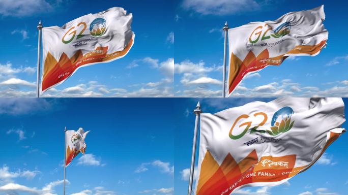 G20-2023-03旗帜