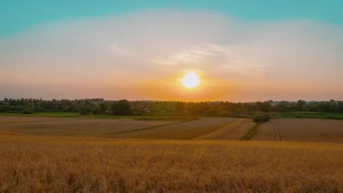 移动延时的美丽日落在农田上的轻云后面，准备收割小麦的农艺作物
