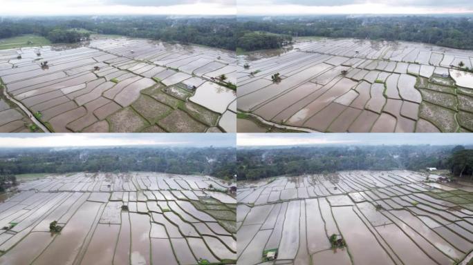 收割水稻并耕种土地后，田地被淹，空中射击
