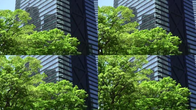 拥有新鲜绿树的现代化办公楼