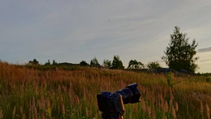 夏天，在未耕种的草地上长满干草的草地上，四轴飞行器无人机在三脚架上飞过相机