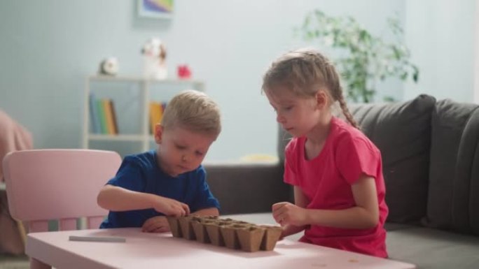 小孩子种下了国产植物的种子