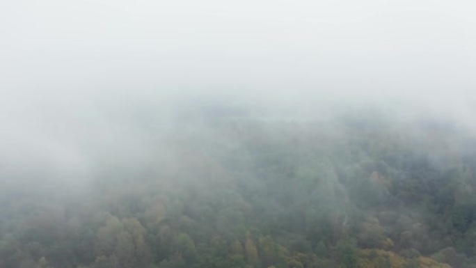 无人机飞过低雨云，越过林地的秋天色彩树梢。秋季森林航拍。树木上的雾气。雾蒙蒙的天气，五颜六色的树林。