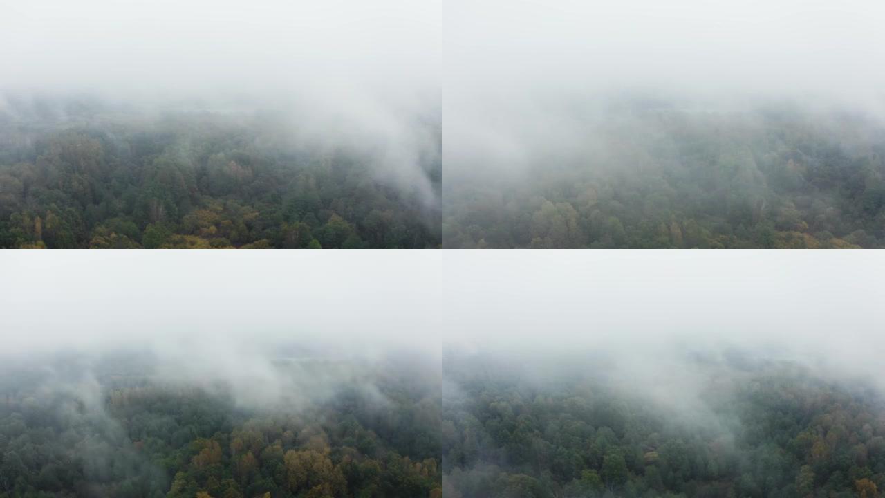 无人机飞过低雨云，越过林地的秋天色彩树梢。秋季森林航拍。树木上的雾气。雾蒙蒙的天气，五颜六色的树林。