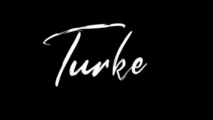 土耳其文字素描写作视频动画4K