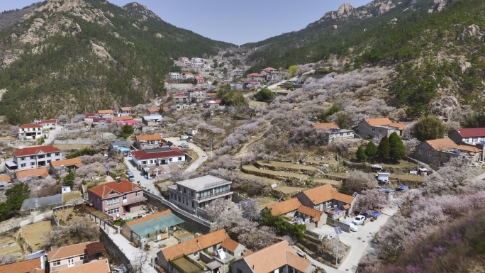 航拍崂山北九水的春天景色