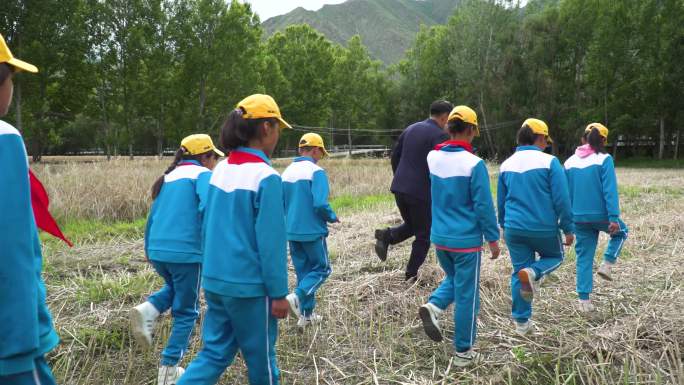 学习 学习基地 实习基地 实训基地 学生