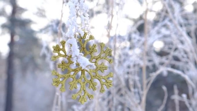 金色圣诞雪花玩具，树枝被雪覆盖。冬季森林。新年假期。圣诞大气心情