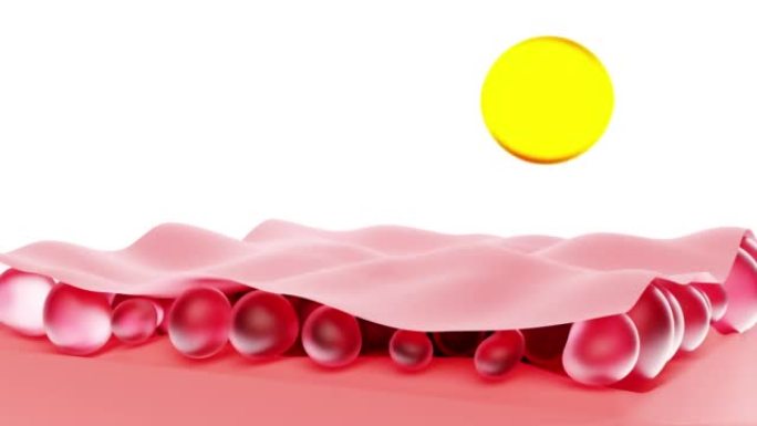 用油再生的皮肤细胞的特写拷贝空间的背景。