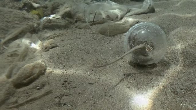 章鱼从透明的塑料鸡尾酒杯中出来，到海底的塑料垃圾场。欧洲章鱼或普通章鱼 (Octopus vulga