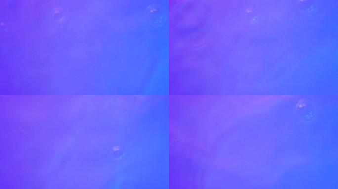 霓虹蓝色，粉红色和紫色的水渐变纹理，带有水滴，飞溅和波浪。蓝色和粉红色渐变的有机水色，折射光慢动作视