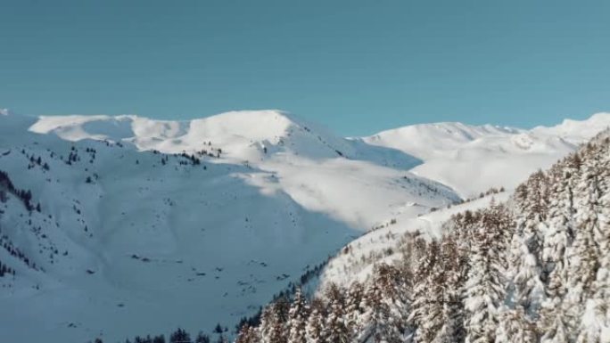 蓝天下的雪山山脉景观鸟瞰图。森林里白雪覆盖的云杉树。冬季仙境。