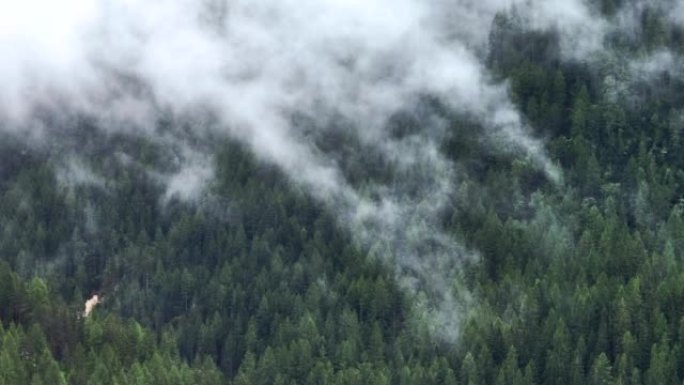 空中无人机拍摄了多洛米蒂与福雷斯，白云岩山脉，白云岩阿尔卑斯山或白云岩阿尔卑斯山的雾状松树树林，是位