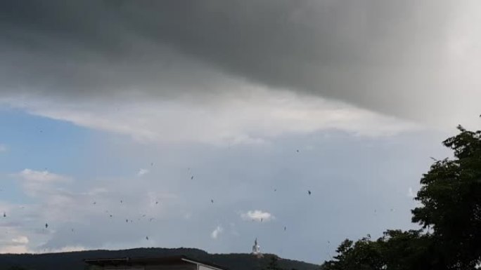 泰国风景慢动作在多云多雨的阴云空间下飞翔的鸟群与多风的天空嬉戏