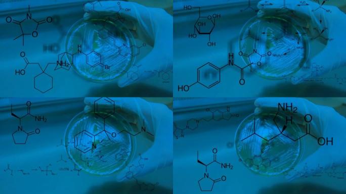 研究人员将微生物样本和药物，维生素和其他化合物的化学结构放在覆盖层中