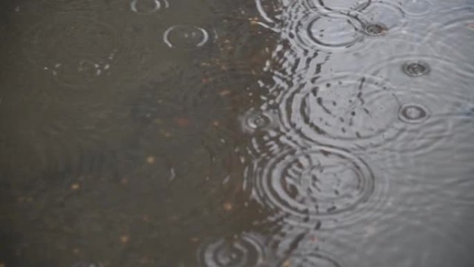 下雨时水坑中的自行车手反射