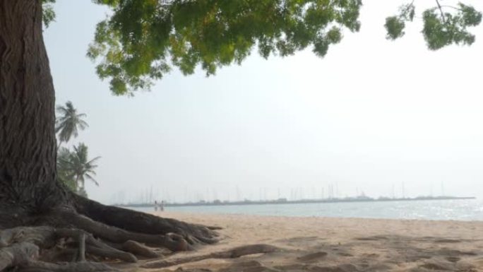 沙滩和大海。芭堤雅海滩是泰国著名的海上地点之一。代表假期放松。Covid 19大流行后为旅行者开放国