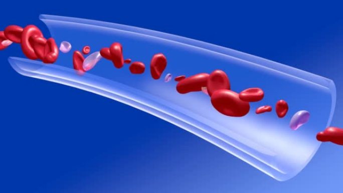 血液循环中红细胞的解剖3d动画。血管上的图像。