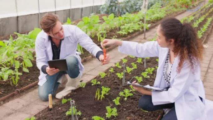 探索时间到了; 园丁检查植物的质量，并用笔在花园中心或温室的笔记本上做笔记。植物栽培和护理植物，