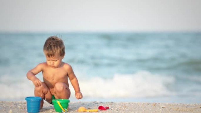 孩子在度假时在夏日阳光下的沙质海底收集贝壳和鹅卵石