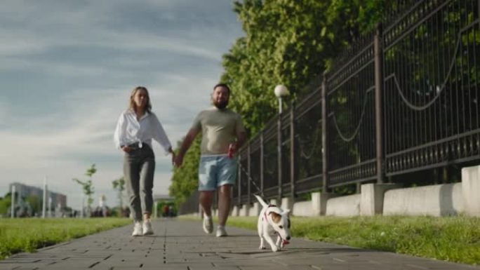 可爱的杰克罗素梗和他的主人在城市公园散步。恋爱中的男人和女人就像一个家庭。