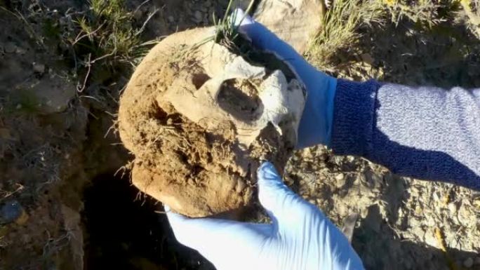 法医考古，从西班牙内战战trench中挖掘出人类头骨