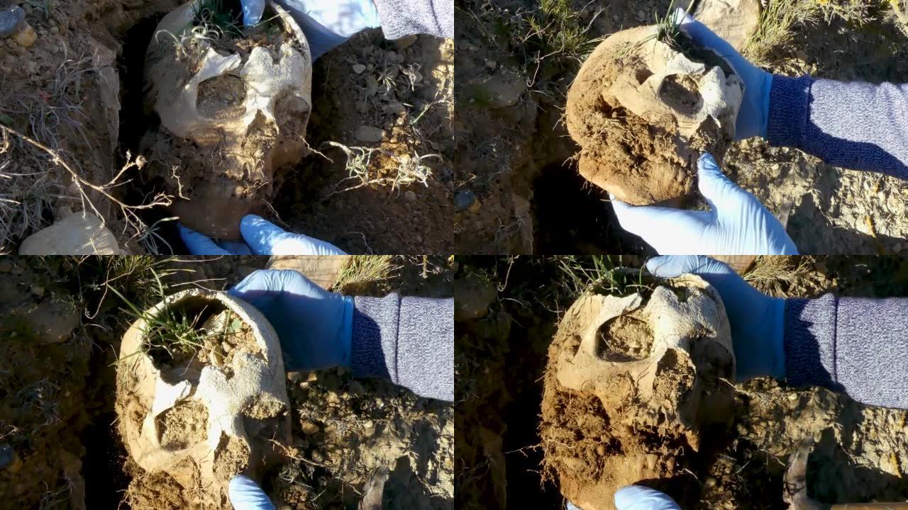 法医考古，从西班牙内战战trench中挖掘出人类头骨