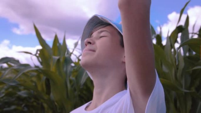 有趣的男孩看着玉米田里的天空，乡村阳光明媚的夏日