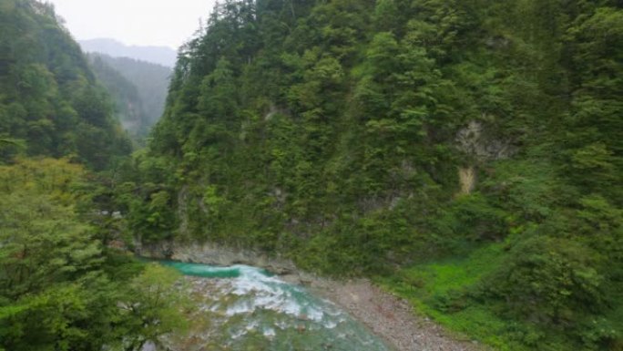 雨中的纯山森林和河流