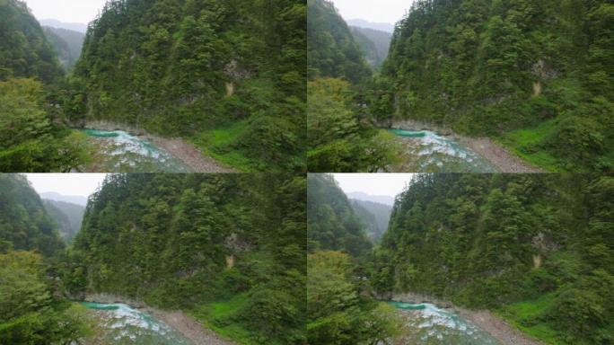 雨中的纯山森林和河流