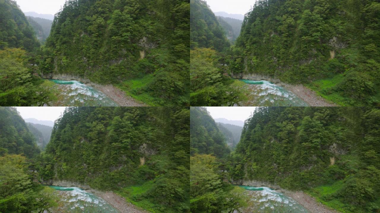 雨中的纯山森林和河流