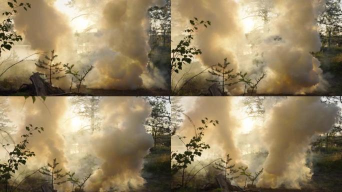 在森林林间空地上燃烧的烟雾弹突破了树木