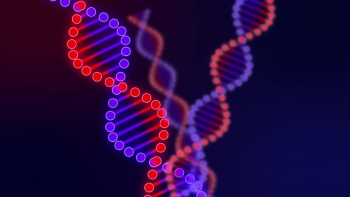 红蓝DNA动画，分子，生物学遗传，研究科学，生物化学医学，分子，科学，蓝红背景，生物技术，化学，D，