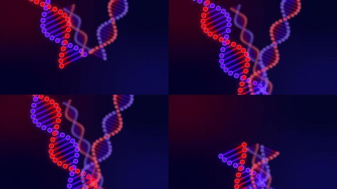 红蓝DNA动画，分子，生物学遗传，研究科学，生物化学医学，分子，科学，蓝红背景，生物技术，化学，D，