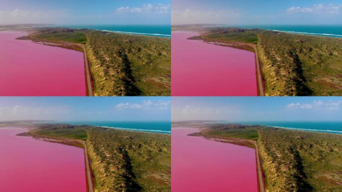 西澳大利亚州格雷戈里港赫特泻湖粉红湖和蓝色海洋的航拍视频