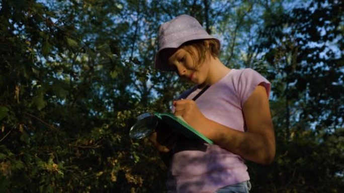 好奇的孩子博物学家探索植物生活昆虫生活并在笔记本上做笔记