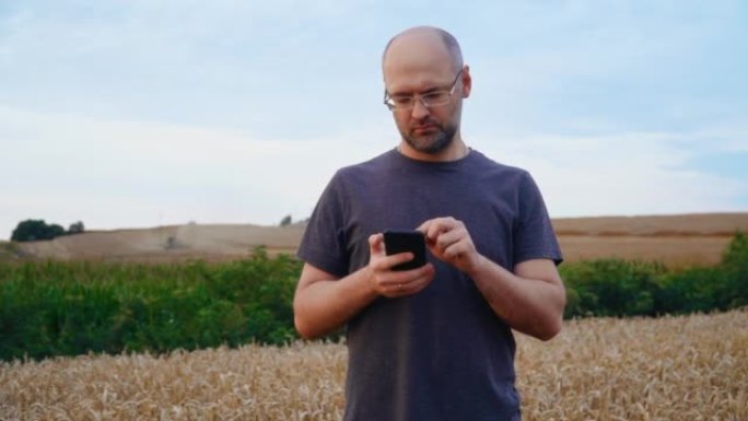 农民男子在收割期间用智能手机在麦田工作，通过组合他控制过程