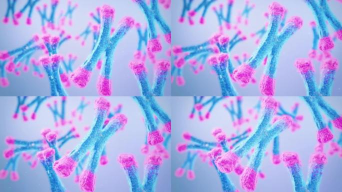 带端粒的染色体双螺旋三维动画特效合成