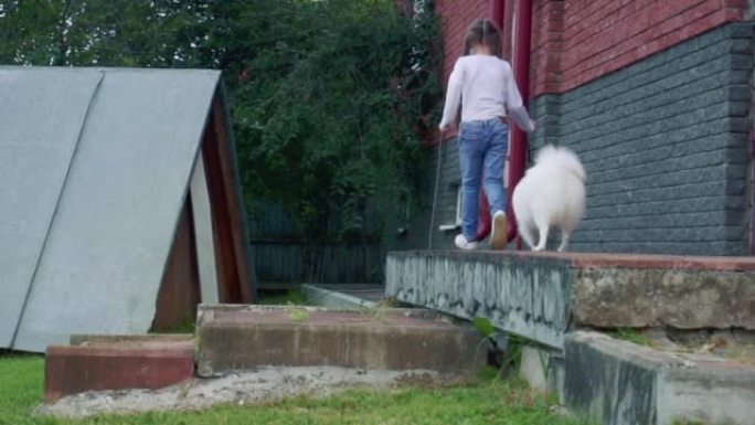 一个女孩和一只白色蓬松的斯皮茨狗玩耍。人类最好的朋友，人与动物的互动