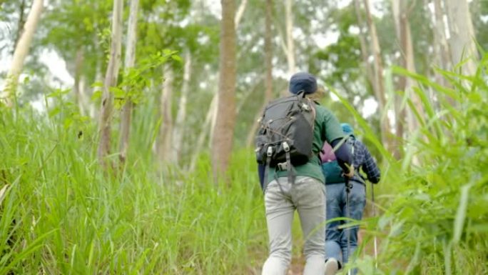 4K，亚洲男女夫妇，背着行囊，戴着太阳帽，走上山顶享受风和大自然，快乐地在一起，在绿荫的森林中。