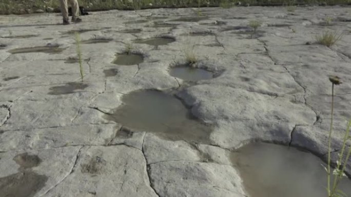 女人探索新近发现的充满雨水的恐龙足迹科罗拉多纠察线峡谷地