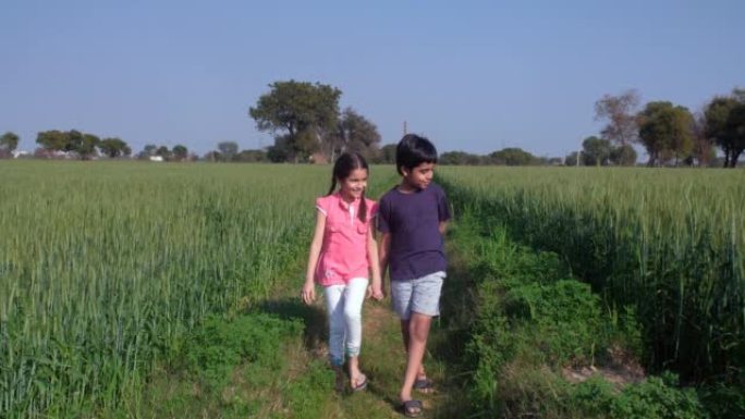 年轻微笑的孩子从农村家庭漫游在他们的稻田-印度农业，村庄的生活方式